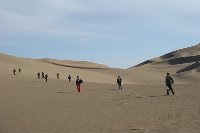 121636685630111457.jpeg 6沙漠勘探.jpg