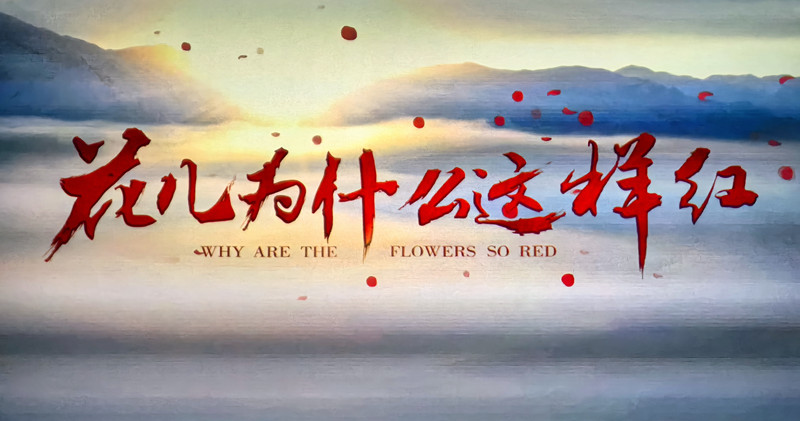 091746781603211609.jpeg 6.jpg